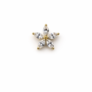 Topo de Piercing Flor 5 Pétalas em Titânio